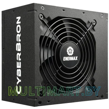 Блок питания Enermax Cyberbron 600W (ECB600AWT) картинка 2